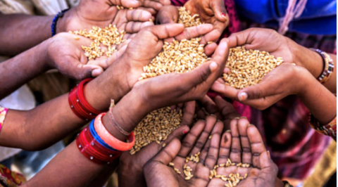 Ending Hunger and Achieving Food Security